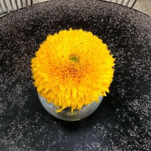 Meet your Posher, Ofmara